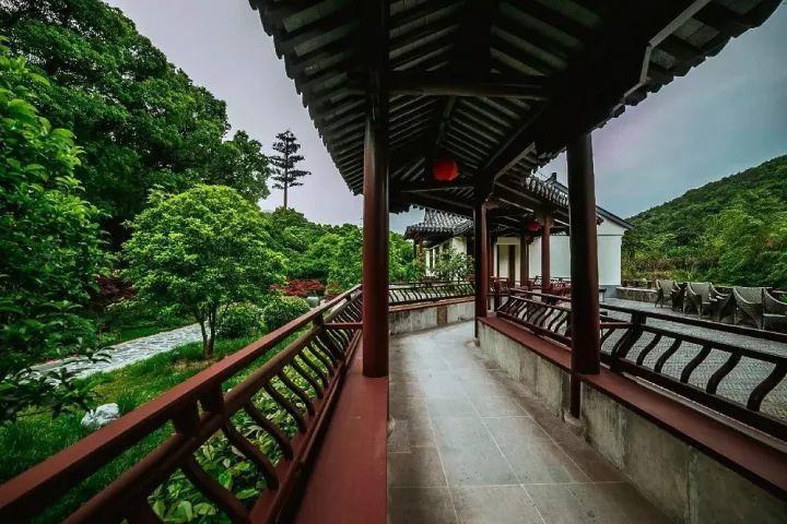 被鲸鱼吞噬，意外的结局会如何？难以预料的命运！