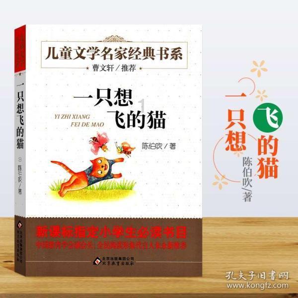 寻梦环游记找吉他