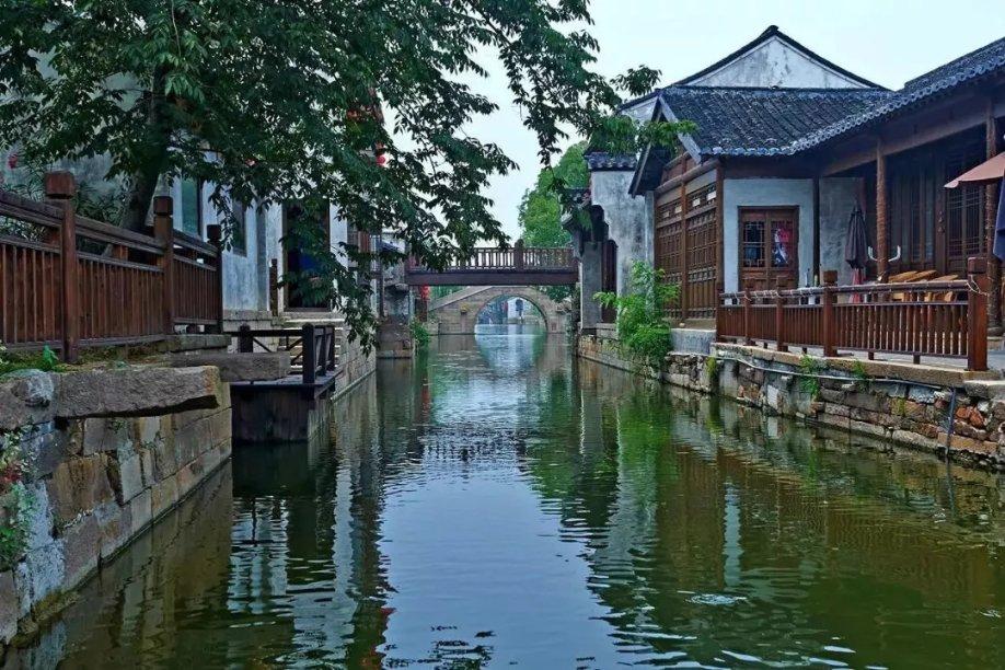 救援受困的长颈鹿